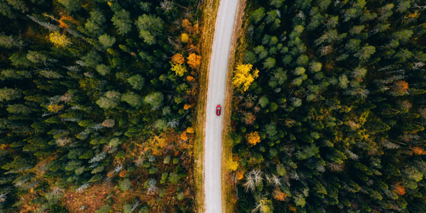an aerial view of a car driving on a winding road with autumnal trees on either side an aerial view of a car driving on a winding road with autumnal trees on either side